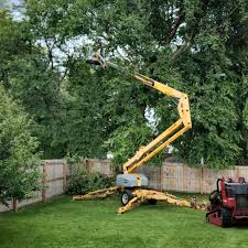 Why Choose Our Tree Removal Services in Mariemont, OH?